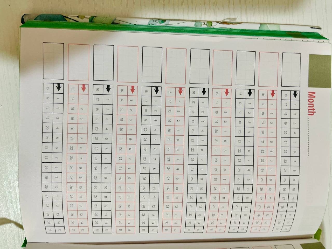 پلانەری ساڵانە ٢