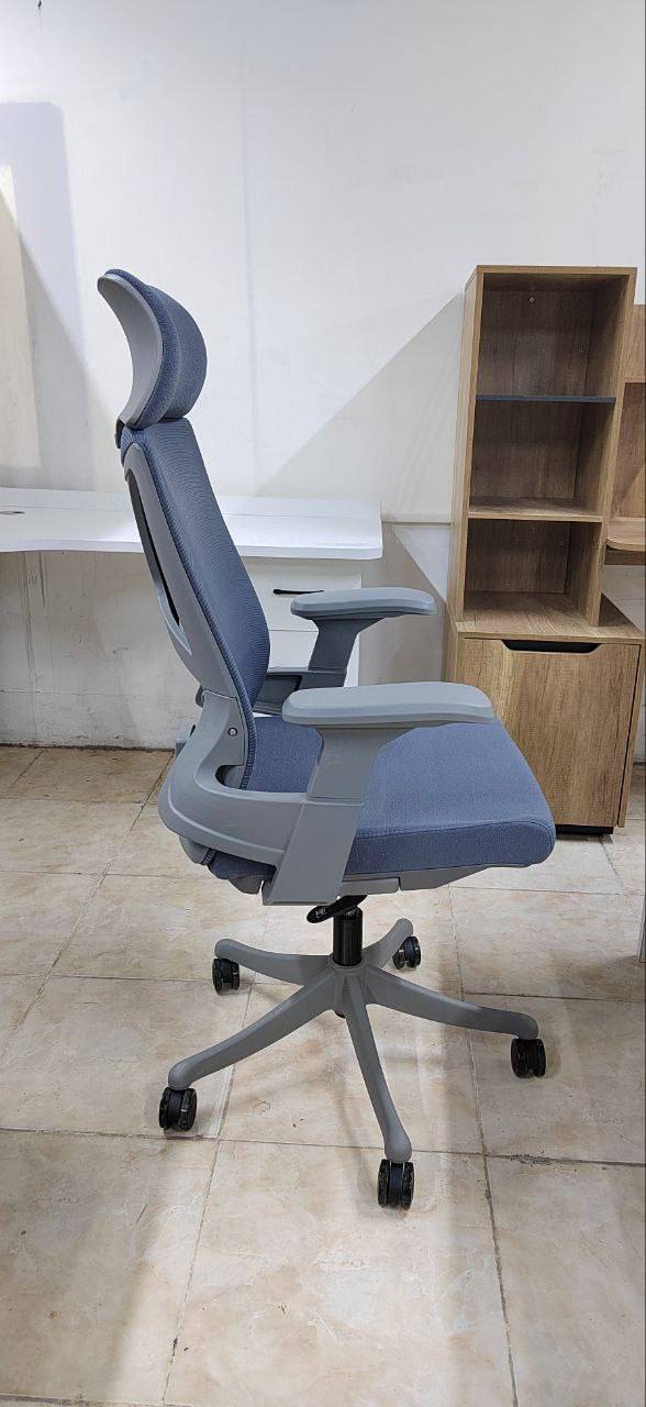 کورسی ئۆفیس و خوێندن